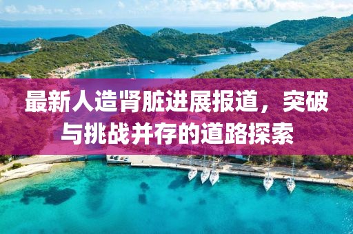 最新人造肾脏进展报道，突破与挑战并存的道路探索