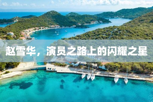 赵雪华，演员之路上的闪耀之星