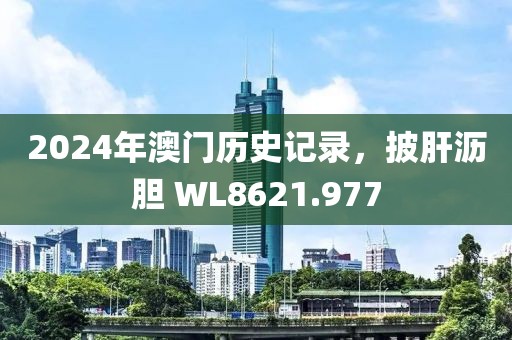 2024年澳门历史记录，披肝沥胆 WL8621.977