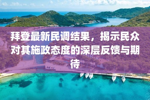 拜登最新民调结果，揭示民众对其施政态度的深层反馈与期待