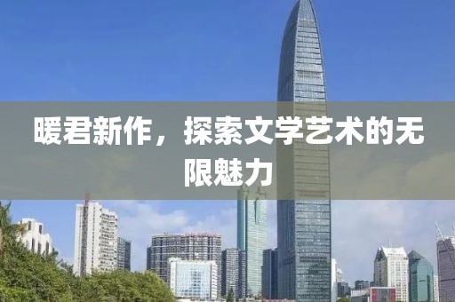 暖君新作，探索文学艺术的无限魅力