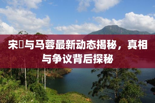 宋喆与马蓉最新动态揭秘，真相与争议背后探秘