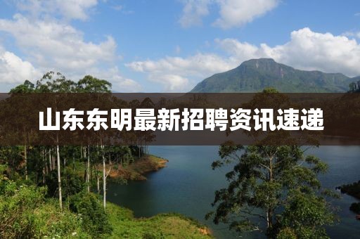 山东东明最新招聘资讯速递