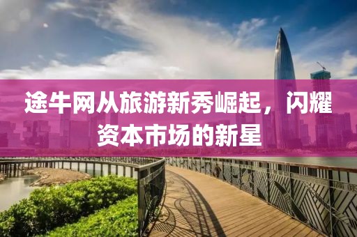 途牛网从旅游新秀崛起，闪耀资本市场的新星