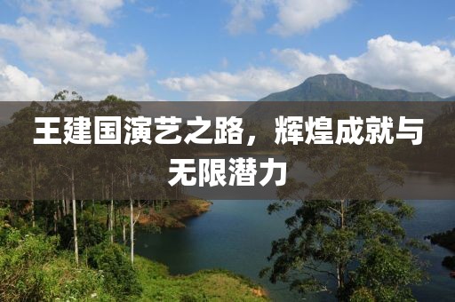 王建国演艺之路，辉煌成就与无限潜力