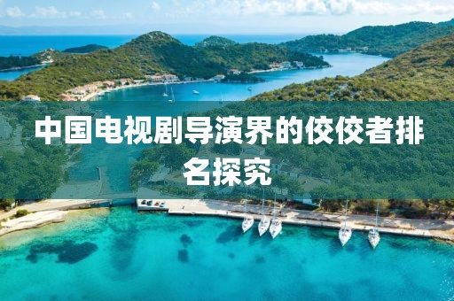 中国电视剧导演界的佼佼者排名探究