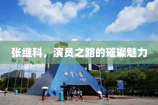 张继科，演员之路的璀璨魅力