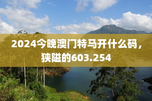 2024今晚澳门特马开什么码，狭隘的603.254