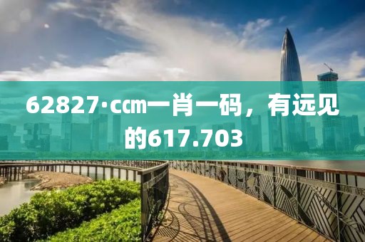 62827·c㎝一肖一码，有远见的617.703