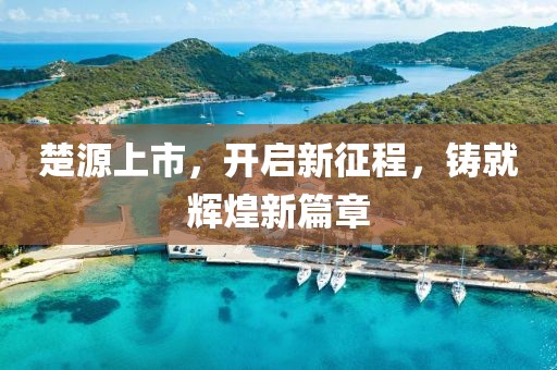 楚源上市，开启新征程，铸就辉煌新篇章