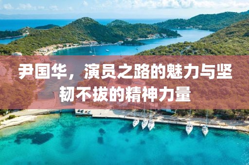 尹国华，演员之路的魅力与坚韧不拔的精神力量
