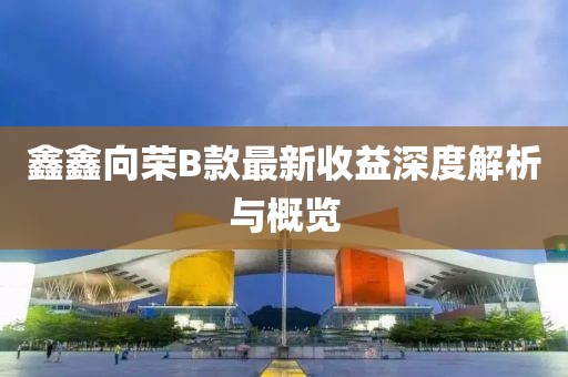 鑫鑫向荣B款最新收益深度解析与概览