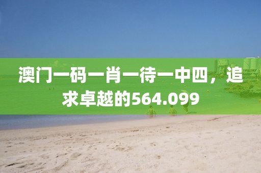 澳门一码一肖一待一中四，追求卓越的564.099