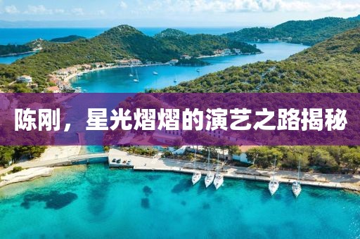陈刚，星光熠熠的演艺之路揭秘