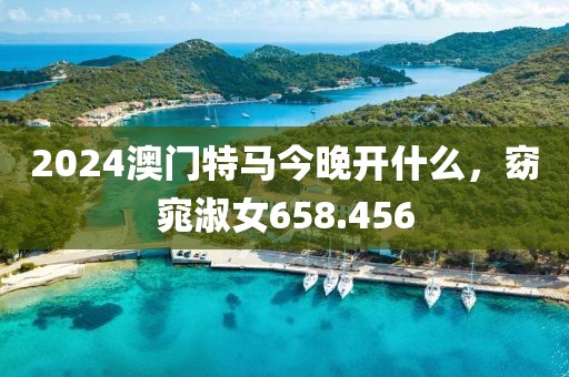 2024澳门特马今晚开什么，窈窕淑女658.456