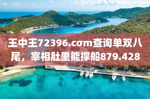 王中王72396.cσm查询单双八尾，宰相肚里能撑船879.428