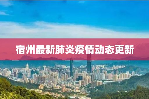 宿州最新肺炎疫情动态更新