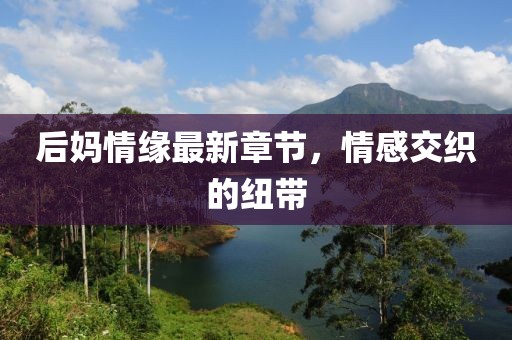 后妈情缘最新章节，情感交织的纽带