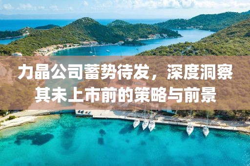 力晶公司蓄势待发，深度洞察其未上市前的策略与前景