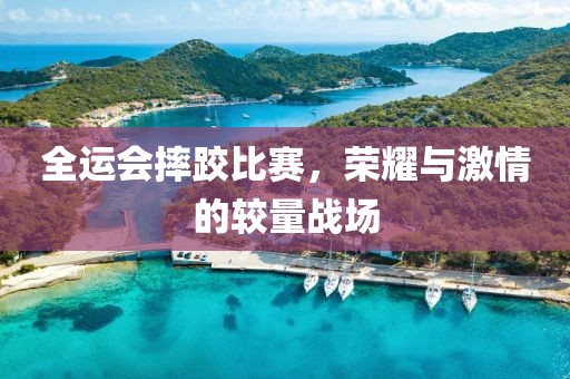 全运会摔跤比赛，荣耀与激情的较量战场