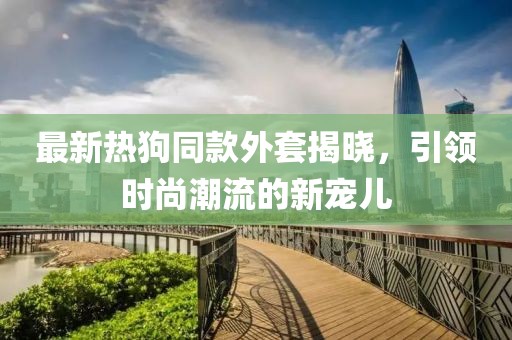 最新热狗同款外套揭晓，引领时尚潮流的新宠儿
