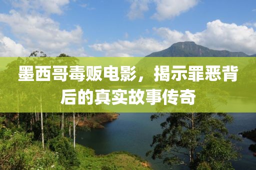 墨西哥毒贩电影，揭示罪恶背后的真实故事传奇