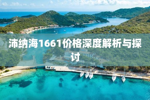 沛纳海1661价格深度解析与探讨