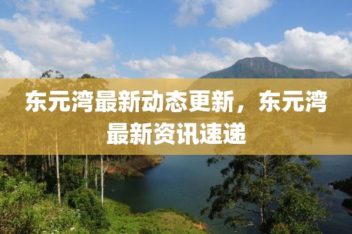 东元湾最新动态更新，东元湾最新资讯速递