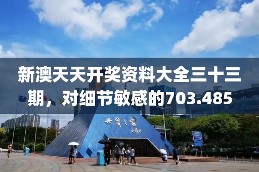 新澳天天开奖资料大全三十三期，对细节敏感的703.485