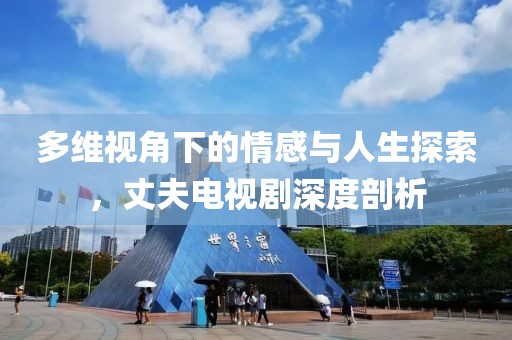 多维视角下的情感与人生探索，丈夫电视剧深度剖析