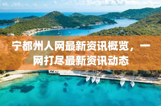 宁都州人网最新资讯概览，一网打尽最新资讯动态