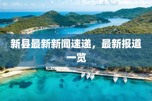 新县最新新闻速递，最新报道一览
