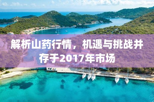 解析山药行情，机遇与挑战并存于2017年市场