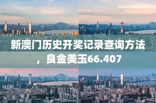 新澳门历史开奖记录查询方法，良金美玉66.407