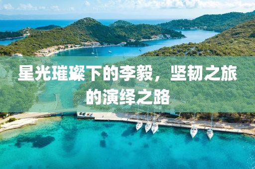 星光璀璨下的李毅，坚韧之旅的演绎之路