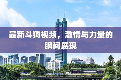 最新斗狗视频，激情与力量的瞬间展现