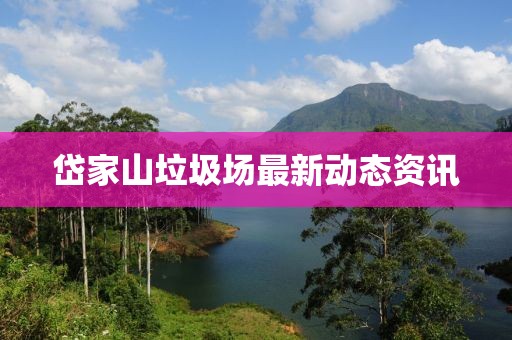 岱家山垃圾场最新动态资讯