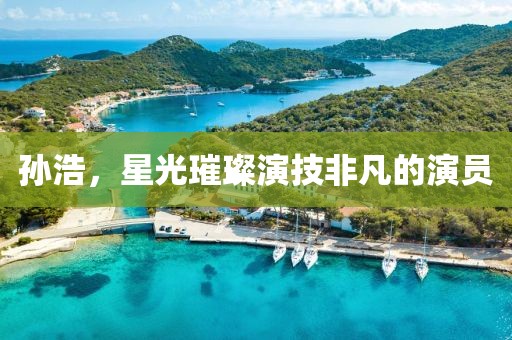 孙浩，星光璀璨演技非凡的演员