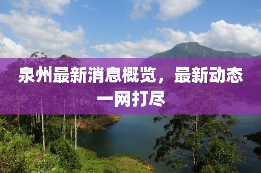 泉州最新消息概览，最新动态一网打尽