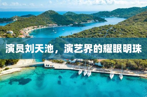 演员刘天池，演艺界的耀眼明珠