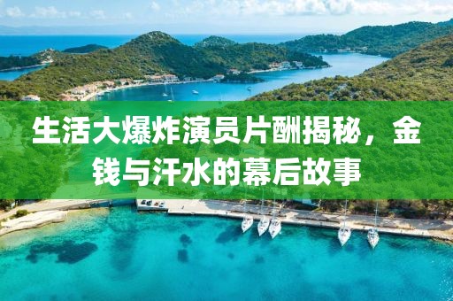 生活大爆炸演员片酬揭秘，金钱与汗水的幕后故事
