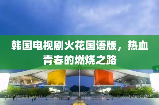 韩国电视剧火花国语版，热血青春的燃烧之路