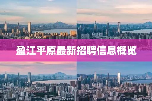 盈江平原最新招聘信息概览