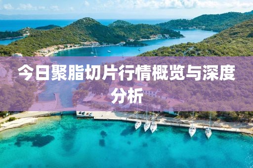 今日聚脂切片行情概览与深度分析