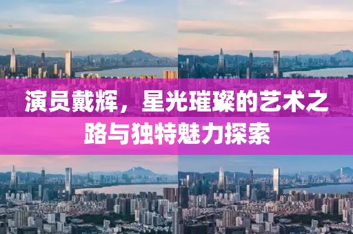 演员戴辉，星光璀璨的艺术之路与独特魅力探索