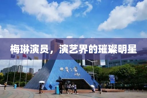 梅琳演员，演艺界的璀璨明星