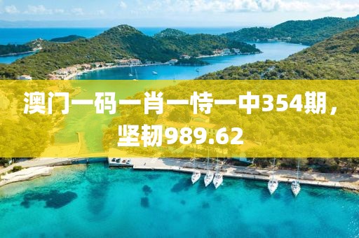 澳门一码一肖一恃一中354期，坚韧989.62