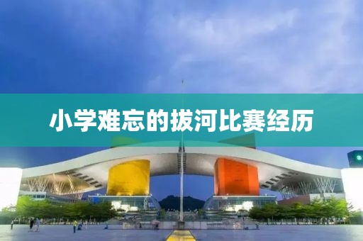 小学难忘的拔河比赛经历