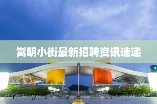 嵩明小街最新招聘资讯速递