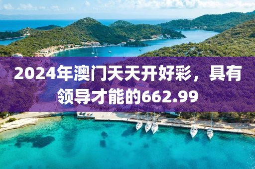 2024年澳门天天开好彩，具有领导才能的662.99